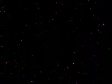 حبيبي شاطر في الكوره ⚽🌊 #مصمم_فيديوهات🎬🎵 #حلات_وتس #اغنية_تيك_توك #yyyyyyyyyyyyyyyyyyyyyyyyyyyyyy 