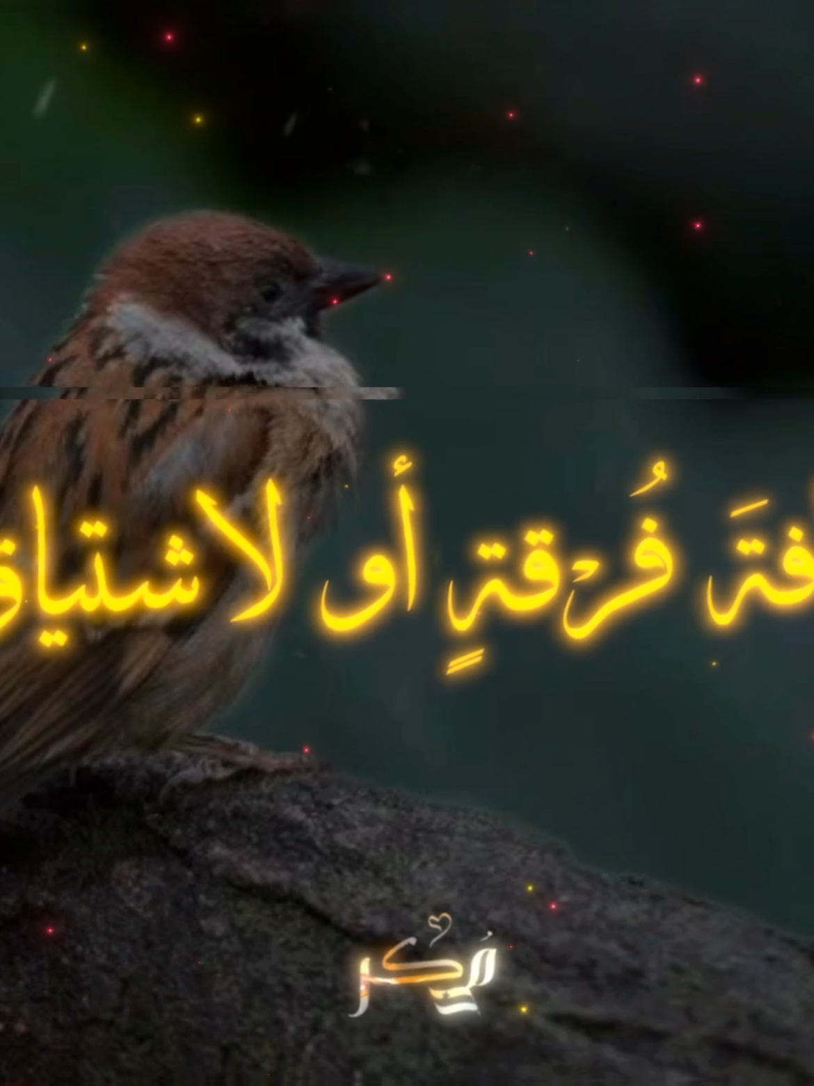 القارئ:خالدالعلمي  من أحب شيأً غير الله عُذب به #خالد_العلمي  #كتاب_الداء_والدواء  #عبدالرزاق_البدر  #المتنبي  #صلوا_على_رسول_الله 