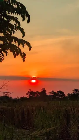 #gamonbrutal #masukberanda #fypage #sadd #fyppppppppppppppppppppppp 