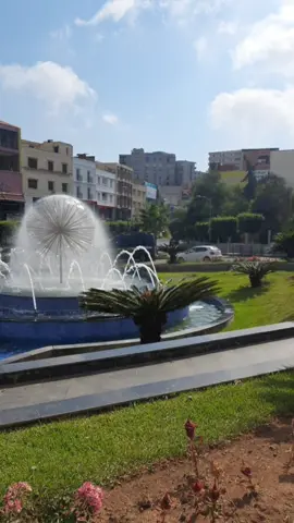 #الجزائر #حيدرة #العاصمة  #جمال #الطبيعة @اقتباسات 