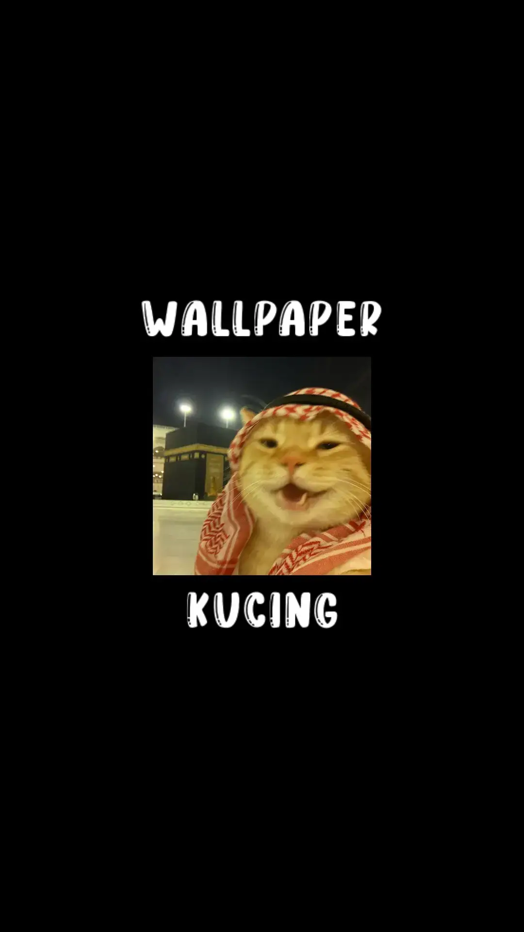 Part 8 || Wallpaper Kucing #wallpaper #wallpapers #kucing #fyp #hd 