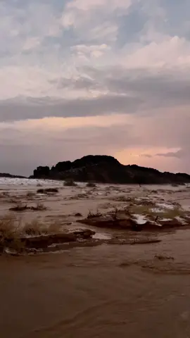 وأنا سيل قلبي صوبهم منتحي واديه ولولا محادير السهل كان ماسالي❤️‍🩹 #بدون_موسيقى #الشتاء #حايل 