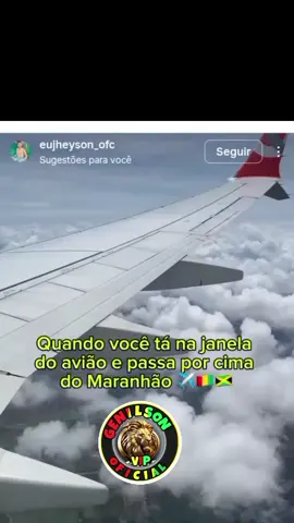 só dá leão pra todo lado 🦁🦁 me sequência aí galera 👆🏻  #reggaedomaranhao #viagem #fy #reggae #fyp 