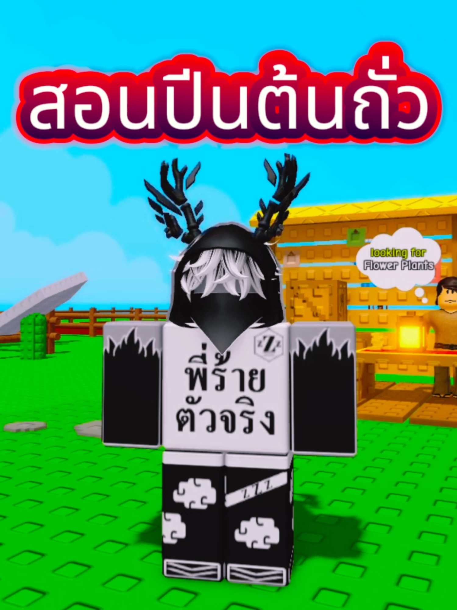 สอนทำกิจกรรม ปีนต้นถั่ว #roblox #ZEZZER #growagarden🥒🌶🍅 #growagarden #gameroblox #คอนเทนต์Roblox #พี่ร้ายZEZZER