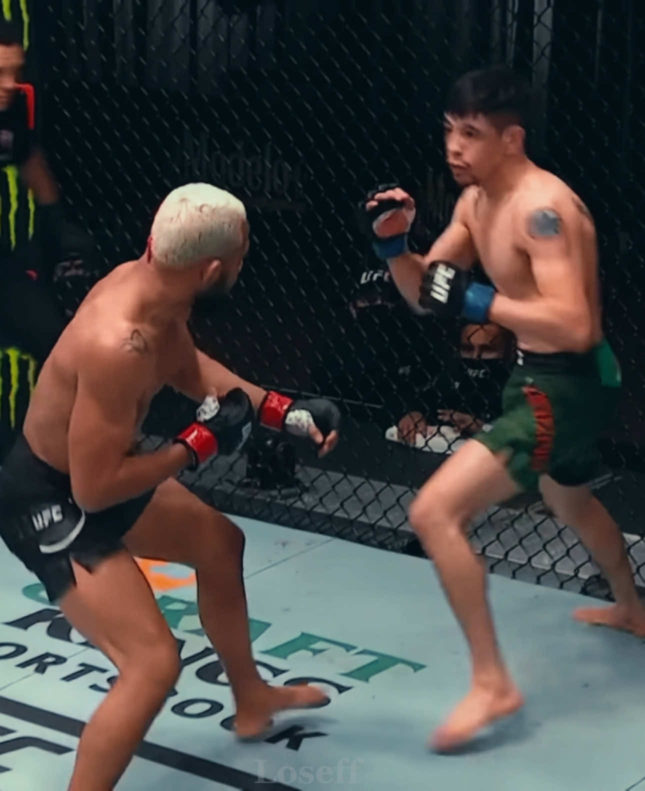 The fight that saved the flyweight devision #deivesonfigueiredo #brandonmoreno #UFC #mma #ufcedit 