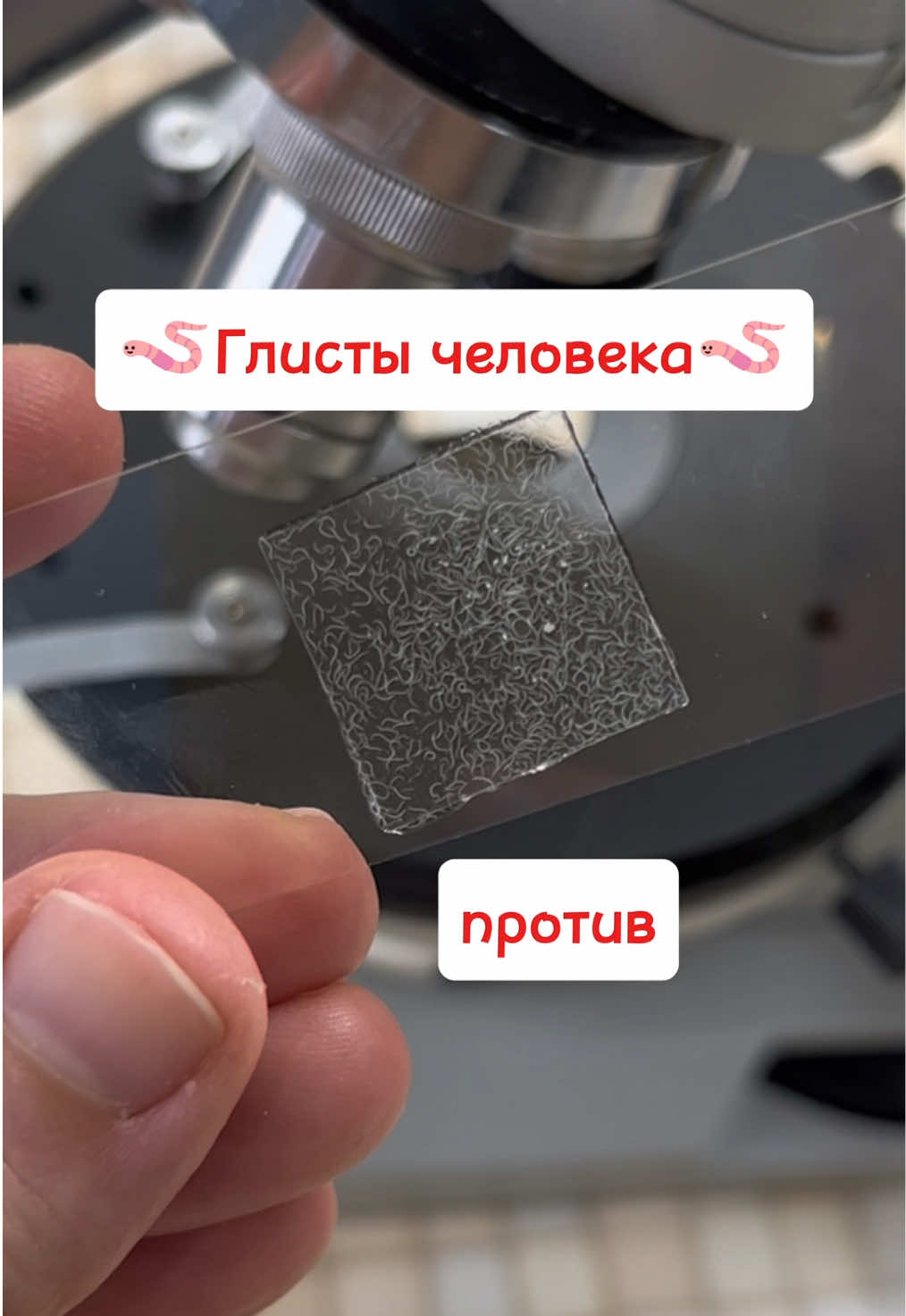 Глисты человека против соевого мяса латяо под микроскопом🦠🔬#глисты #латяо #соевоемясо #микроскоп #подмикроскопом 