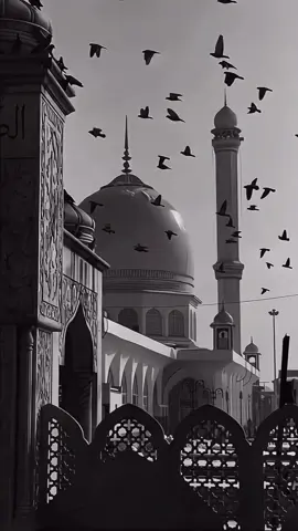 #طرابلس_بنغازي_المرج_البيضاء_درنه_ط #قران_كريم 