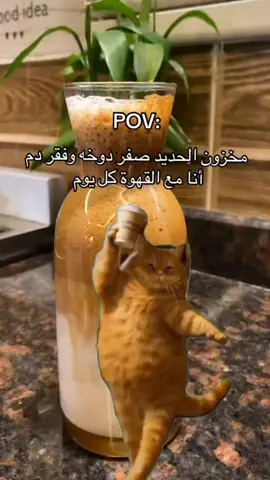 #قهوتي🕊️☕🤍 