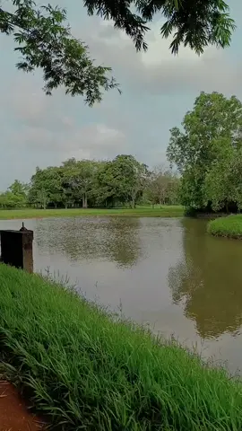 ගම්පහ උද්භිත උද්‍යානය 🍁📍 #srilanka #fyp #fypシ #botnical #gampaha 