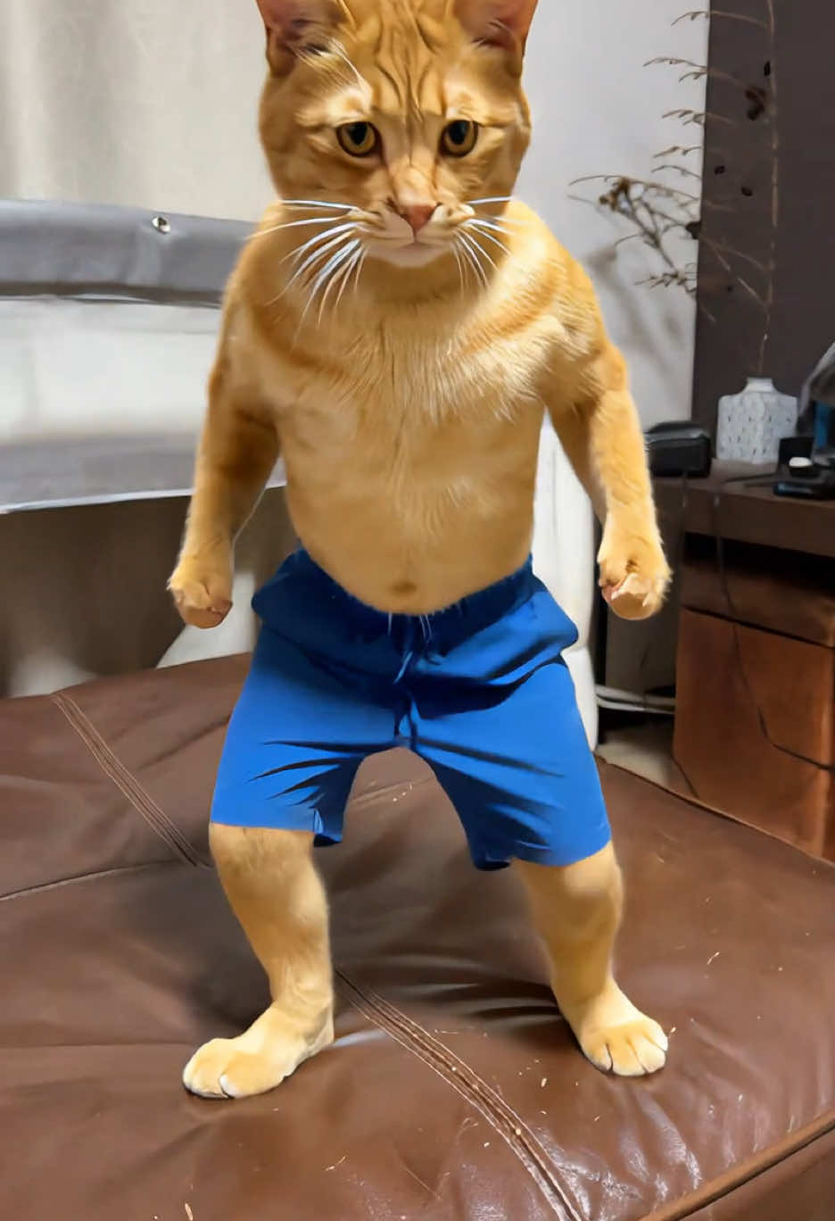 海パン猫#cat #AI 