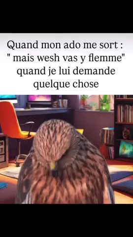 #🤣🤣🤣 #❤️ #🤷‍♀️ #👑 #🔥 