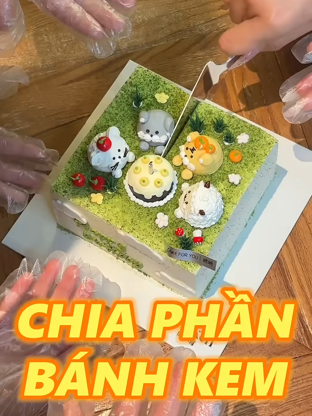 CHIA TÀI SẢN SAU SINH NHẬT#food #reels #fyp #streetfood #foodies #foryoupage❤️❤️ #maidiannha99 #LearnOnTikTok #foryou