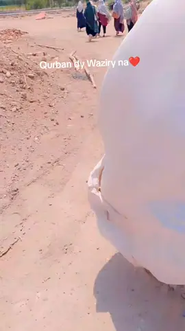 #creatorsearchinsights #foryou #foryoupage 