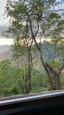 #🇹🇱🌫️🌄🍃