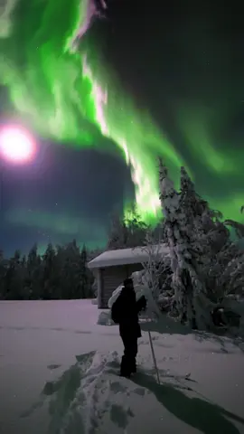 How many levels of aurora have you reached? If you are planning a trip at Lapland, we can increase your chances with northern lightsdramatically, but also woth many other must to do things with @luplandi🤝😌 #finland #lapland #northernlights #aurora #winter 