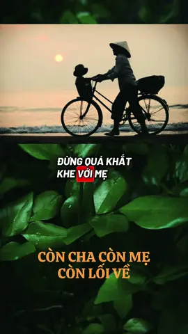 🪷 Đừng quá khắt khe với mẹ #ngộđểan #phatphapnhiemmau #cliptrieuwiew #viralvideo #xuhuong 