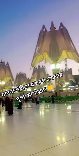 #✈️🇧🇩🇸🇦সৌদি আরব✈️🇸🇦 #foryoupage #foryou #🌹🌹❤️🥀🥀🇸🇦🇸🇦 