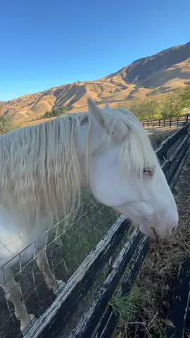 2hollis meetup #chobani #jeans #2hollis 