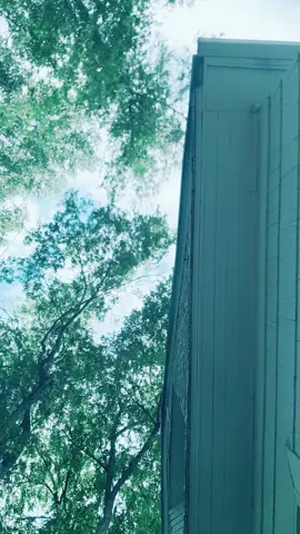 #yourfriendlyneighborhooddumpstfire 