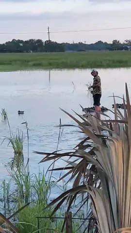 Rice rockets putting on a show for @Patrick Connelly  #fyp #ricerocket #duck #ducks #birdwatching 