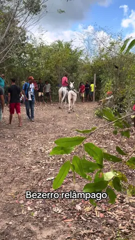 #humortiktok #pegadeboi #nomato #viral 