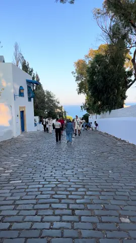 ##سيدي_بوسعيد #tonisia🇹🇳 #libya🇱🇾 #سيدي_بوسعيد_مدينة_الازرق_والابيض🇹🇳 ##تونس_العاصمه🇱🇾🇹🇳❤️ 