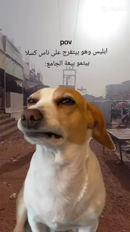 #كسلا #مسجد #الشعب_الصيني_ماله_حل😂😂 #sudanese_tiktok 