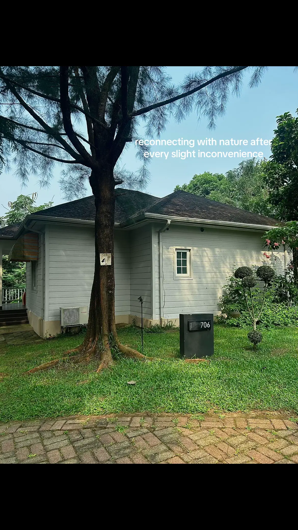 🍃#fyppppppppppppppppppppppp #fypシ゚ #nature #naturetherapy 