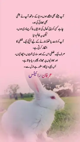 #irfanwrites2567 #foryoupage #fyp #viralvideo 