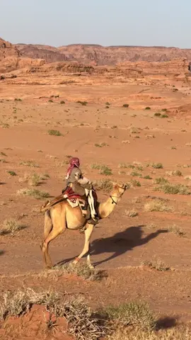 #المملكه_الاردنيه_الهاشميه🇯🇴 #جنوب #القويرةِ_الديسه_رم_الجنوب @ابنـــ معيوف🇯🇴 