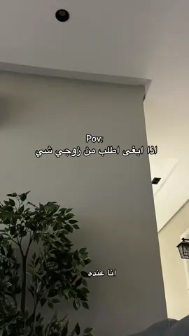 #CapCut 