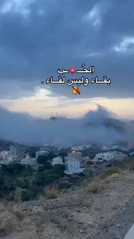 #اكسبلور #الباحه #fyp #foryou #تصويري 