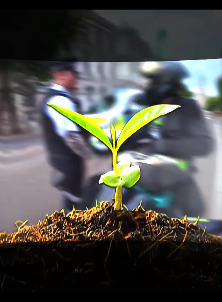 positive 🌱💯 |🎥/@viixrides #foryoupage #edit #biker #cold #project 
