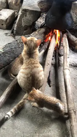 nhớ em my thúi của tui qua, nhma e đã ko về nữa 💔💔