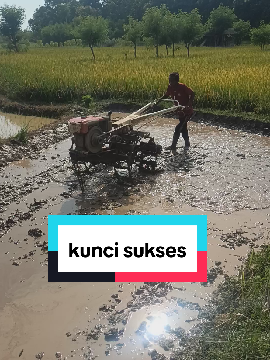 Kunci sukses#creatorsearchinsights #fyppppppppppppppppppppppp  #music  #petaniindonesia🇮🇩🇮🇩🇮🇩🌿🌿 