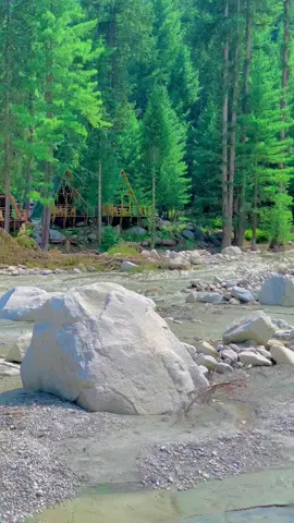 Kumrat Valley is a beautiful view ❤️👍👌#kumrat_valley #foryou #foryoupage #1millionaudition #viraltiktok 