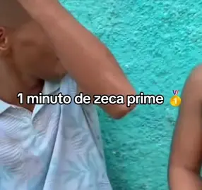 1 min de Zeca prime, gostão? #zeca #zecaurubu #viral #naoflopa 