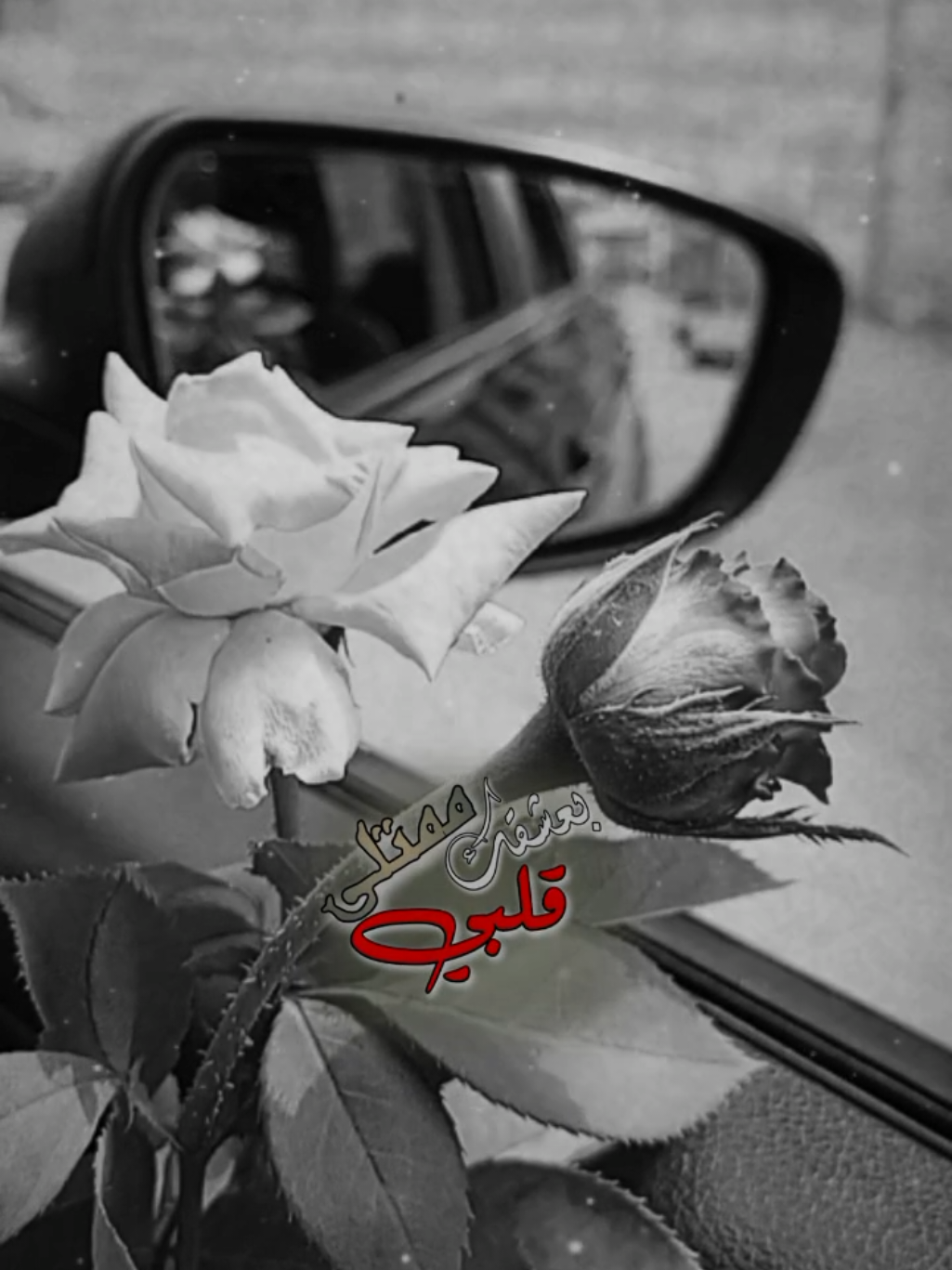 قلبي بعشقك ممتلي ❤️✨ #منشن_الحب #اكسبلور #تصويري #lavendr81 #CapCut 