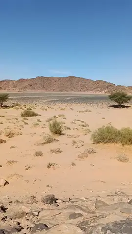 #الخليج_العربي_اردن_عمان_مصر_تونس_المغرب #سبها_ليبيا_الجنوب_الليبي #سبها_ليبيا_الجنوب_الليبي❤️🍂 