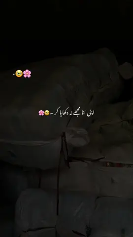 اپنی انا مجھے نا دکھایا کر 🥹💔#aesthetic #poetry #poetrystatus #grow #account 