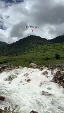 kasari birsenu:🥺❤️‍🩹