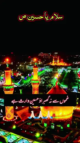 حسین ص وارث ہے 🙏🏻🙏🏻#salamyahussain #yahussainع #hussainwaris #yaabbasع #karbala 