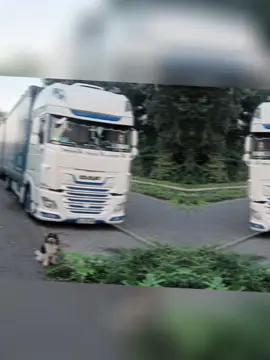 #nightflyer #thzlafamilia #lkw #thz #jumbo #gliederzugelite Schönes Wochenende ✌️😄