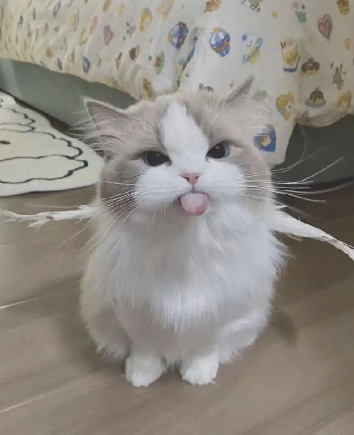 #yaemiko #mikogenshinimpact #genshinimpactedit #anime #waifusedits #arte #girls 