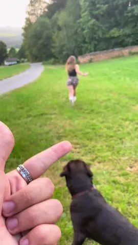 0:1🏃‍♀️🐾💨#badboys#Running#dog#foryou#viral 