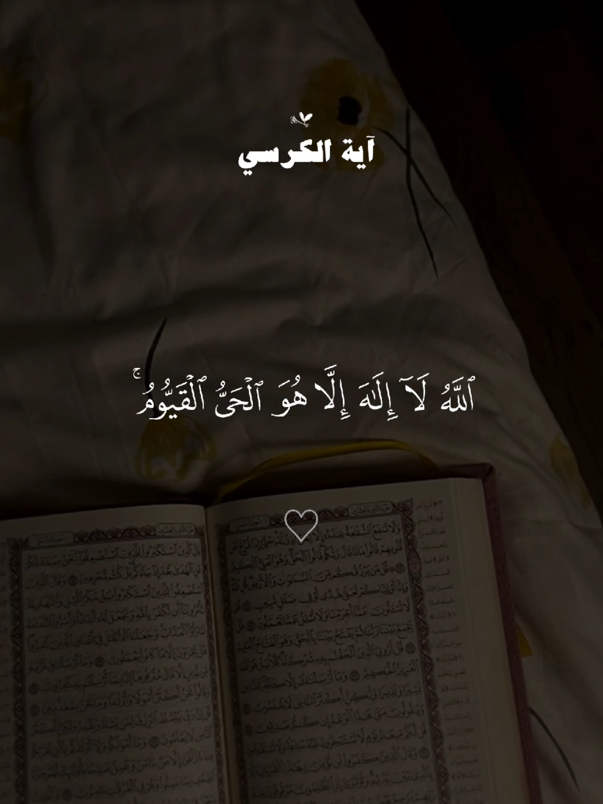 آية الكرسي 🤍🎧 #آية_الكرسي  #القران #quran #القران_الكريم #quran_alkarim 