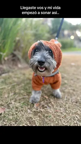 Acompáñenme a derretirse de amor 🤍🫧 #doglover #perrostiktokers #perritostiktok #amoranimal #adoptanocompres 