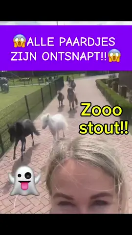 😱30 paardjes ontsnapt! HELP!🙈 #funnyvideo #youtubeshorts #crazy #funny #tiktok