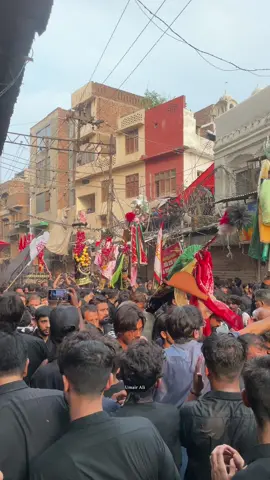 Hayee Hussain A.S😭💔#20safarchelumimamhussainas😭#foryou#karbala#mishi#viral