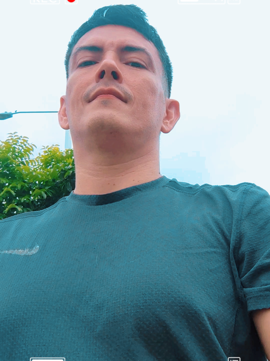 Con mis perritos#frenchiepuppy #tiktok #viraltiktok 